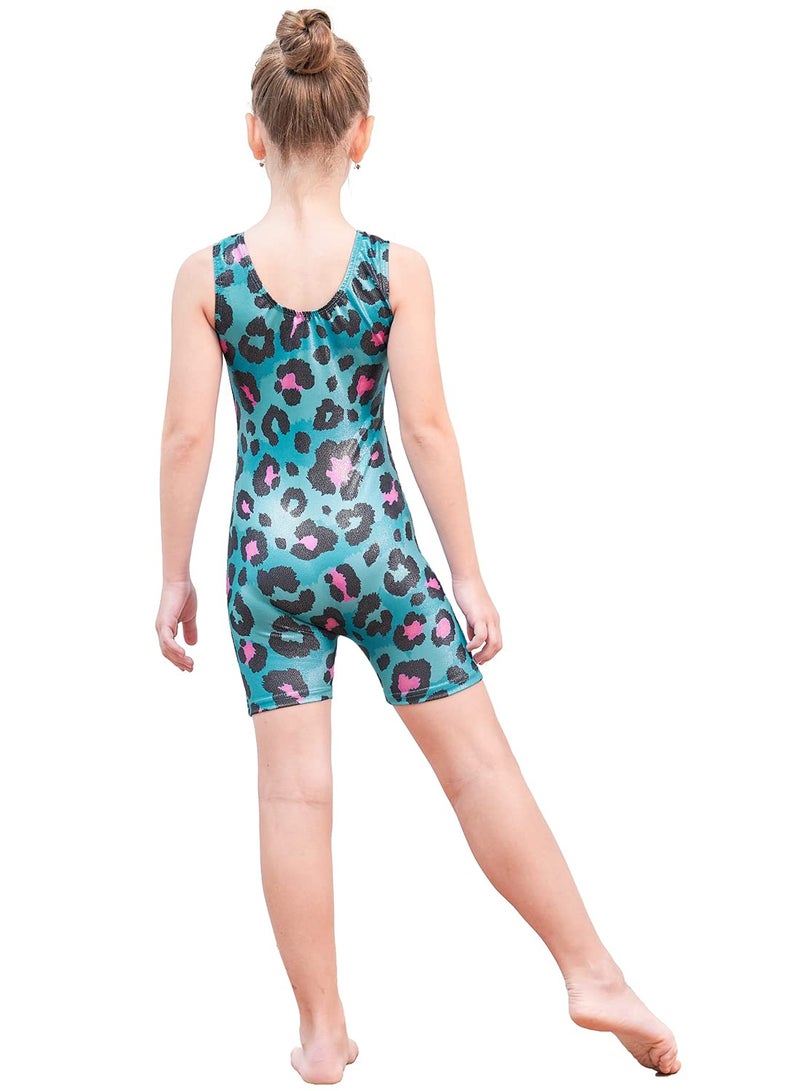EQSJIU Toddler Girls Leotard For Gymnastics 3t 4t 3-4t Blue Leopard Pink Leotards With Shorts Kids Outfits Biketard Starry Sparkle Apparel Clothes 3t Leotard Gymnastics - Image 3